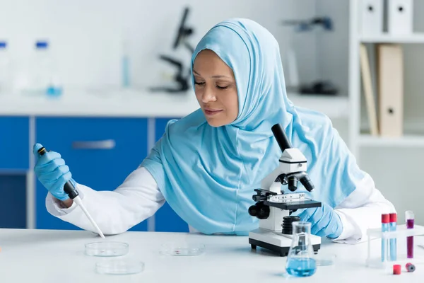 Arabischer Wissenschaftler arbeitet mit Petrischalen und Pipette am Mikroskop — Stockfoto