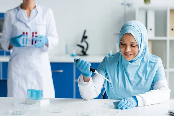 Smiling arabian scientist holding electronic pipette near petri dishes and colleague - foto de stock