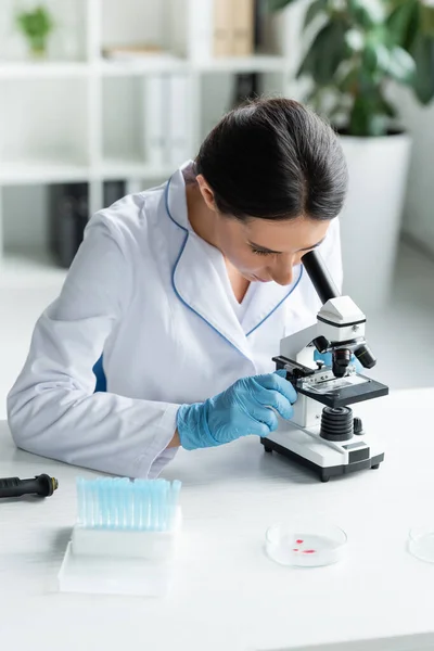 Scientifique en gants de latex utilisant un microscope près des boîtes de Pétri et des éprouvettes — Photo de stock