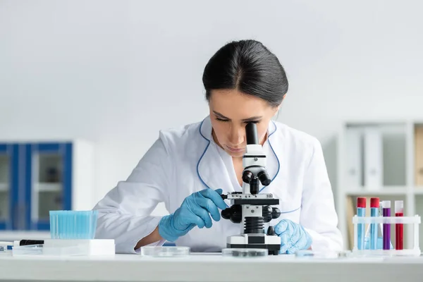 Ученый в латексных перчатках с использованием микроскопа возле пробирки с образцами в лаборатории — стоковое фото