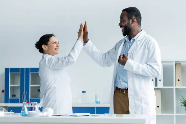 African american scientists giving high five near test tubes and petri dishes in lab - foto de stock