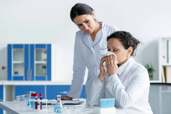 Diseased african american scientist holding napkin near nose beside colleague in lab - foto de stock