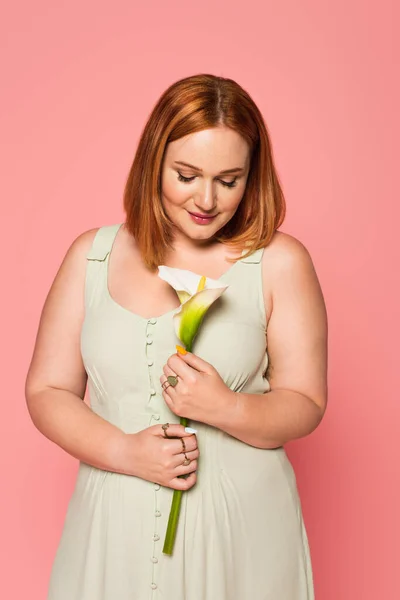 Mujer pelirroja mirando a Calla Lily aislada en rosa - foto de stock