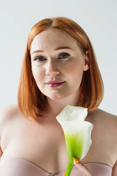 Plus size woman in bra holding calla lily isolated on grey — Stock Photo