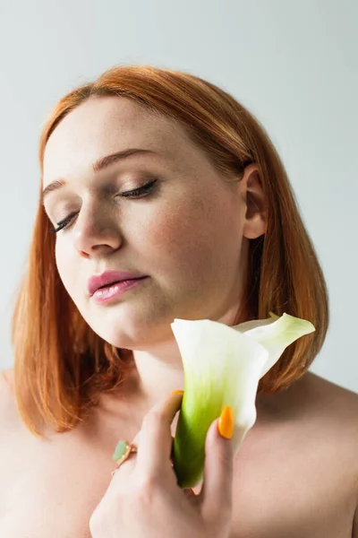 Rotschopf Körper positive Frau hält Calla Lilie isoliert auf grau — Stockfoto