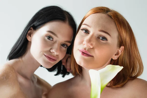 Body positive woman with naked shoulders looking at camera near calla lily isolated on grey — Stock Photo