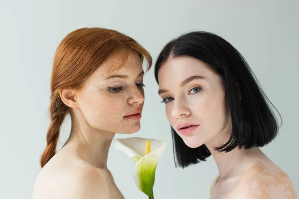 Body positive women with naked shoulders holding calla flower isolated on grey — Stock Photo