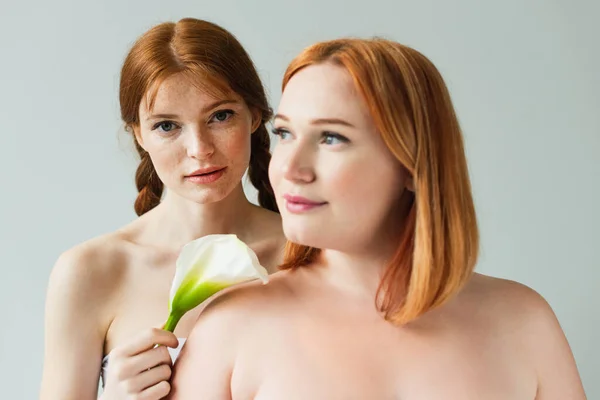 Freckled woman with calla lily looking at camera near blurred plus size friend isolated on grey — Stock Photo