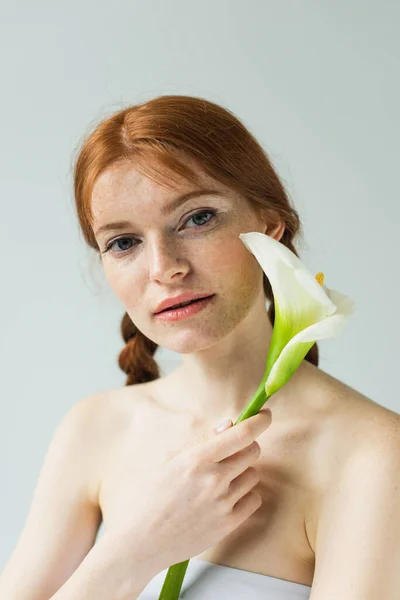 Freckled woman holding calla lily and looking at camera isolated on grey — Stock Photo