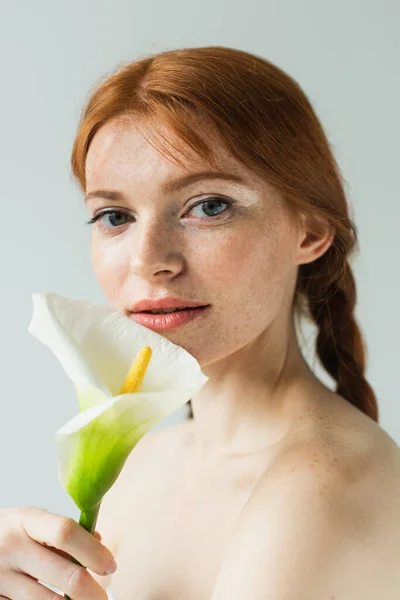 Hübsche sommersprossige Frau mit nackten Schultern hält Blume isoliert auf grau — Stockfoto