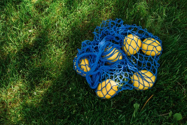 Top view of ripe lemons in blue string bag on grass — Stock Photo