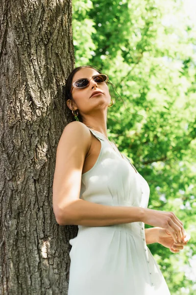 Brunette woman in sunglasses and dress leaning on tree trunk in park — Stock Photo