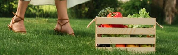 Vista recortada de la mujer de pie cerca de contenedor de madera con verduras en la hierba, pancarta - foto de stock