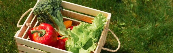 Vista de ángulo alto de verduras frescas en contenedor de madera, pancarta - foto de stock