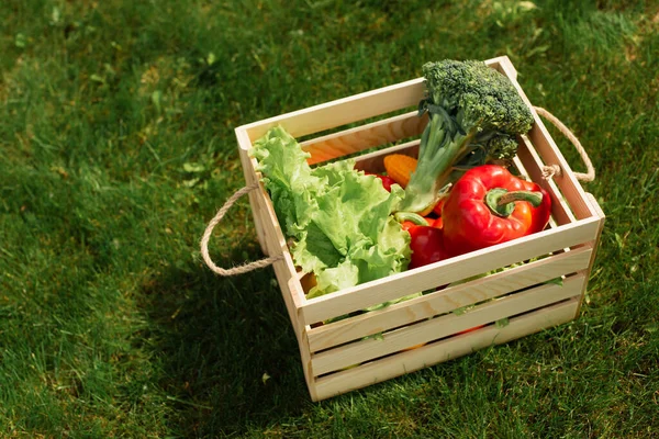 High angle view of fresh vegetables in wooden container — Stock Photo