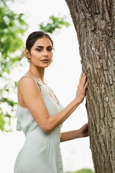 Bella donna in abito posa vicino albero nel parco — Foto stock