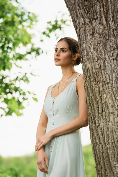Мечтательная женщина в платье позирует возле дерева в парке — стоковое фото