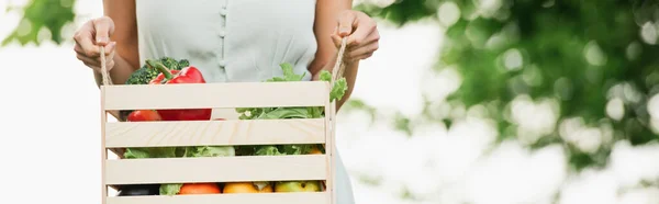 Vista recortada de la mujer sosteniendo caja de madera con verduras, pancarta - foto de stock