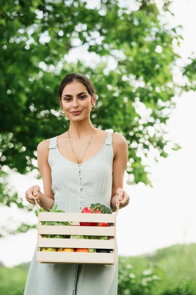 Счастливая женщина держит деревянную коробку с овощами — стоковое фото
