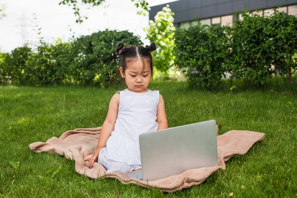 Серьезный азиатский ребенок смотрит фильм на ноутбуке, сидя на одеяле для пикника в парке — стоковое фото