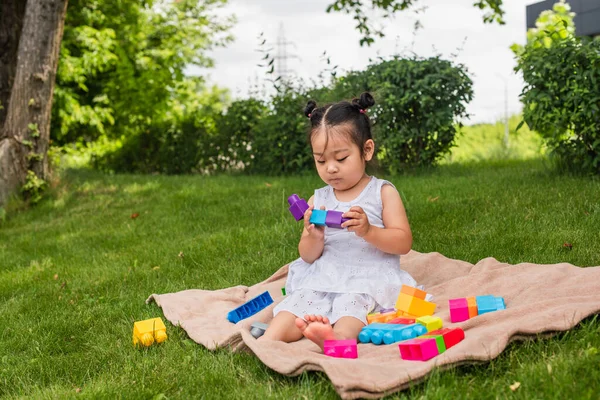 Asian toddler girl in dress playing building blocks on picnic blanket in park — Stock Photo