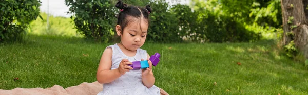 Asian toddler girl in dress playing building blocks in park, banner — Stock Photo