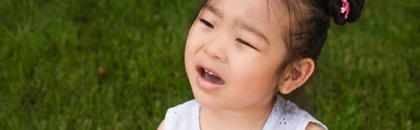 High angle view of brunette asian kid with open mouth in park, banner — Stock Photo