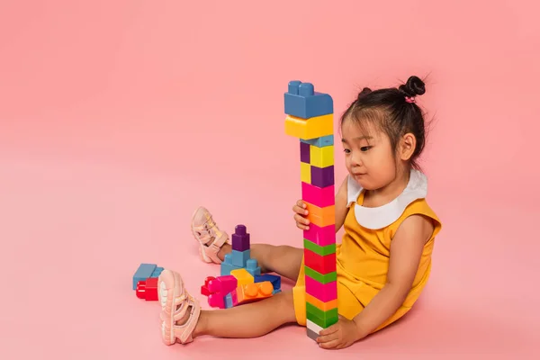 Asian toddler girl in dress playing colorful building blocks on pink — Stock Photo