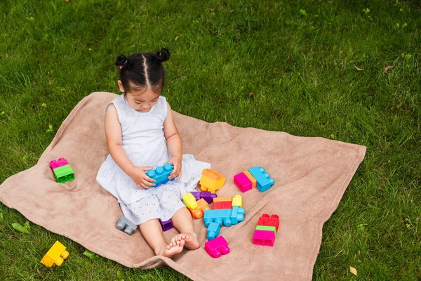 High angle view of asian toddler child in dress playing building blocks on picnic blanket in park — Stock Photo