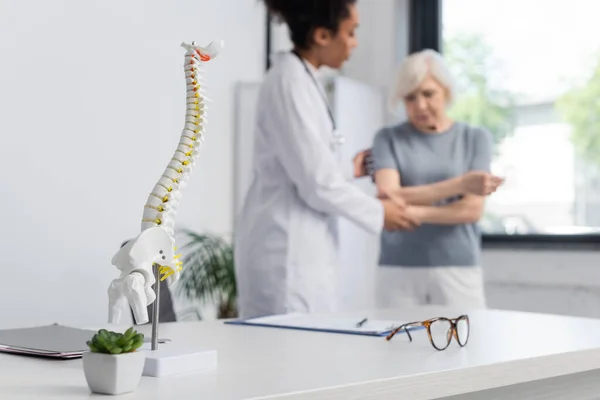 Медична модель хребта біля міжрасового лікаря та пацієнта на розмитому фоні — стокове фото