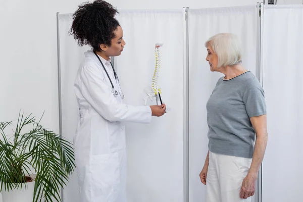 Vista lateral del médico afroamericano apuntando al modelo de columna vertebral cerca del paciente senior - foto de stock