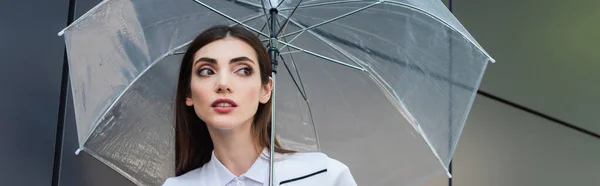 Hübsche brünette Frau schaut weg unter transparentem Regenschirm, Banner — Stockfoto