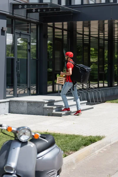Arabian courier with thermo backpack carrying box with vegetables near building and blurred scooter — Stock Photo