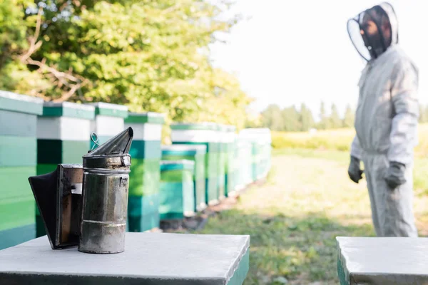 Imker im Schutzanzug auf Bienenstock bei Imker — Stockfoto