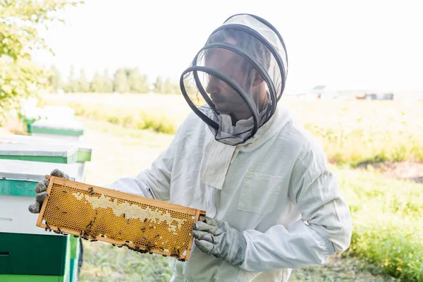 Bee master in beekeeping suit holding honeycomb frame with bees on apiary — Stock Photo