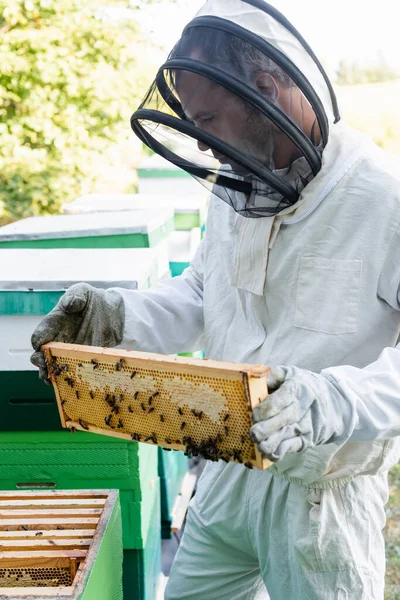 Apiarist in beekeeping suit holding frame with honeycomb and bees on apiary — Stock Photo