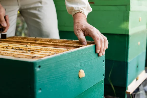 Vista recortada del apicultor borroso que trabaja cerca de la colmena en el colmenar - foto de stock