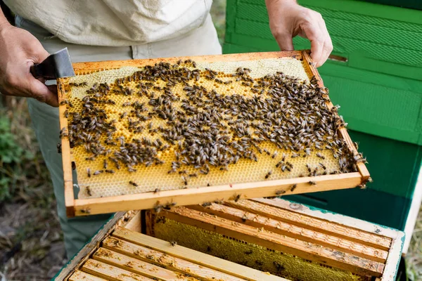 Partial view of bee master with scraper holding blurred honeycomb frame near beehive — Stock Photo