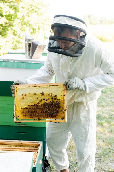 Apiarist holding frame with honeycomb and bees on apiary — Stock Photo