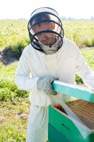 Beekeeper in protective suit and helmet with veil opening beehive on apiary — Stock Photo