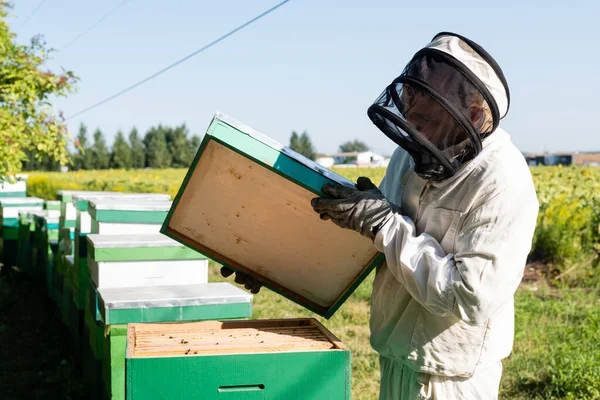 Bee master in beekeeping suit opening beehive on apiary — Stock Photo