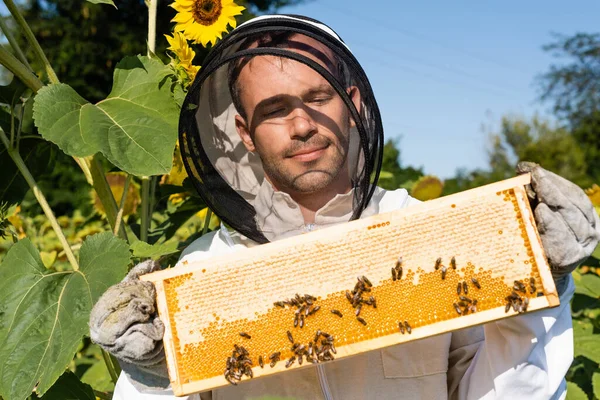 Smiling apiarist in beekeeping suit holding honeycomb with bees in blossoming sunflower field — Stock Photo