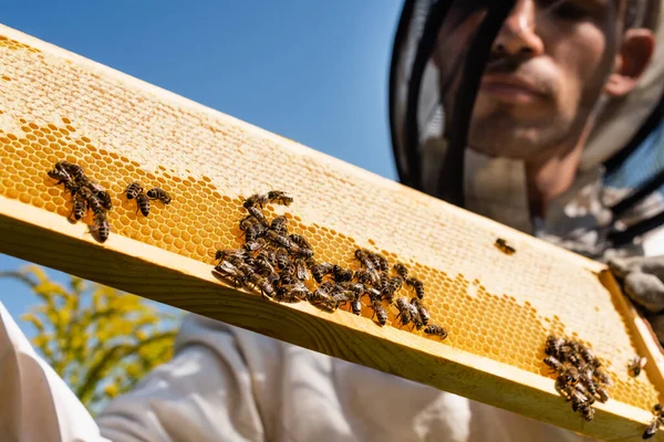 Vista da vicino delle api a nido d'ape vicino all'apicoltore sfocato contro il cielo blu — Foto stock