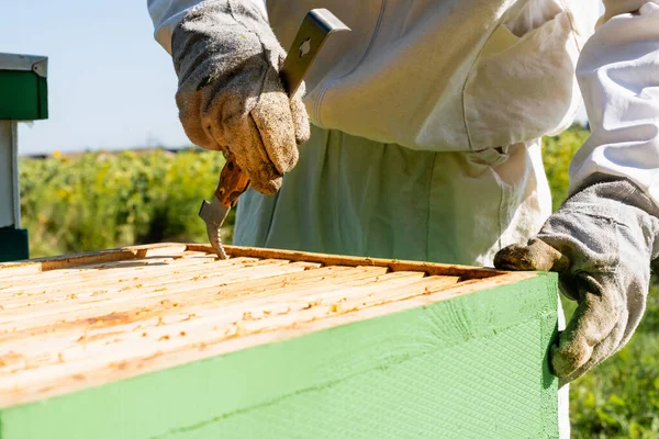 Ausgeschnittene Ansicht eines Imkers, der Bienenstöcke mit Rahmengreifer inspiziert — Stockfoto