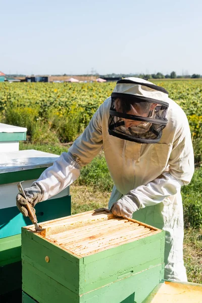 Beekeeper in protective equipment extractive honeycomb frame from beehive — Stock Photo