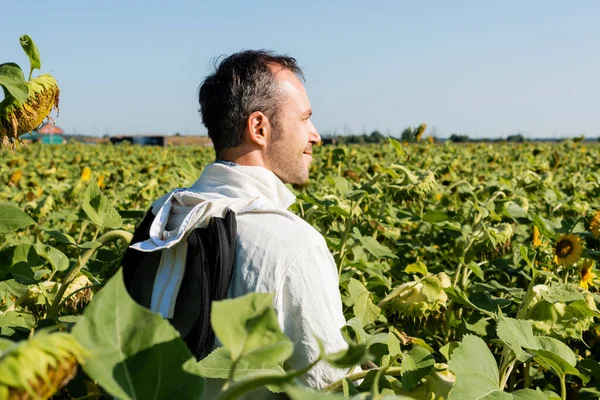 Imker im Schutzanzug lächelt im Sonnenblumenfeld — Stockfoto