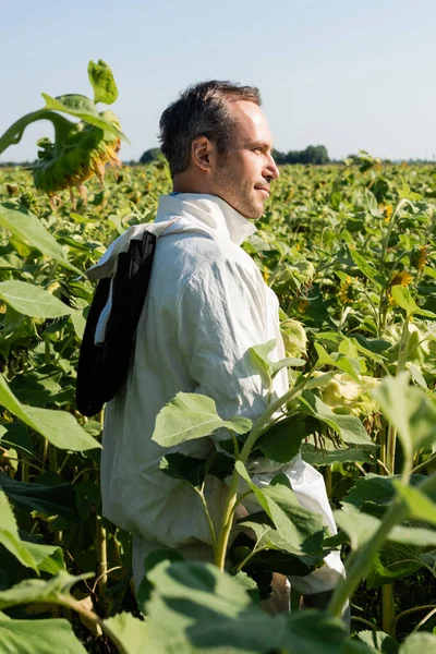 Apiarist em terno de apicultura em pé no campo de girassóis e olhando para longe — Fotografia de Stock