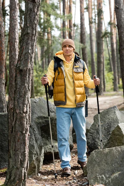 Ganzkörperansicht eines Mannes in warmer Weste und Jeans, der mit Trekkingstöcken in der Nähe von Felsen im Wald steht — Stockfoto