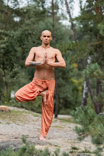 Buddhist sin camisa en pantalones de harén practicando una pose de árbol de piernas al aire libre - foto de stock