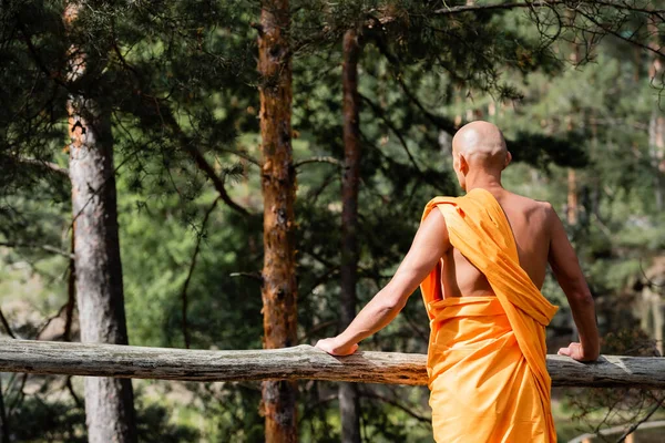 Vista posterior de budista en bata naranja tradicional de pie cerca de valla de madera en el bosque - foto de stock